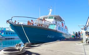 - Canarie.it