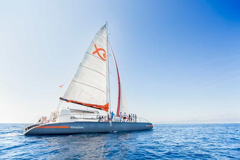 rent catamaran palma de mallorca