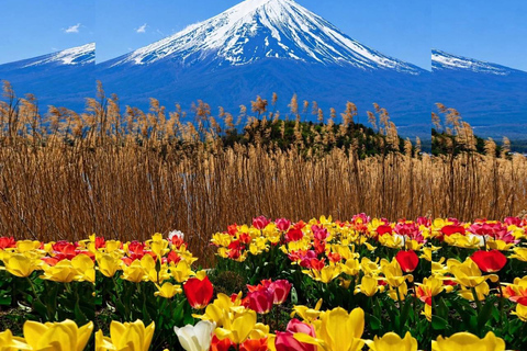 Tokyo: Mt Fuji Full-Day Private Tour of Top Best Places