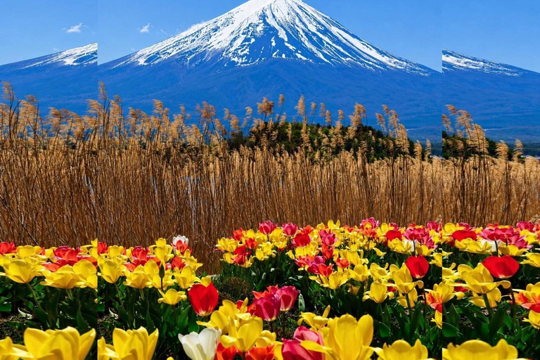 Tokyo: Mt Fuji Full-Day Private Tour of Top Best Places
