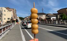 Takayama: Food and Sake Tour