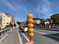 Takayama, Tour de comida y sake - Housity