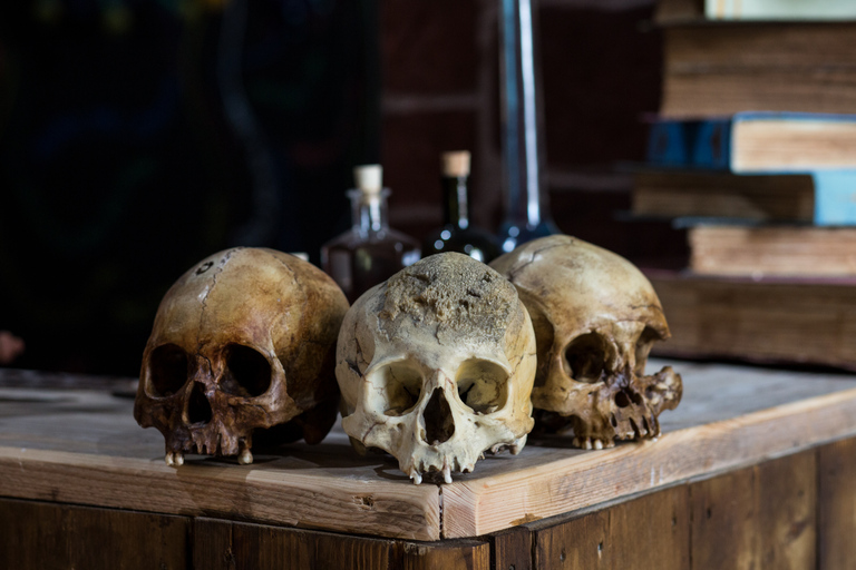 Chester: Biljett till Sick to Death Museum