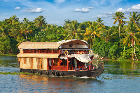 Kochi: 7-Day Kerala Private Tour with Houseboat Stay