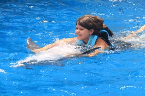 Gulf World Marine Park: Experiência Interativa com Golfinhos