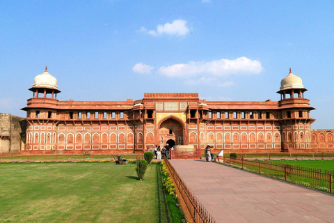 Au départ de Delhi, visite du Taj Mahal au lever du soleil avec conservation des éléphantsUniquement des services de guides touristiques