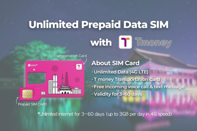 Port lotniczy Gimpo: podróżna karta SIM i T-money Transport Card15-dniowa karta SIM i transport