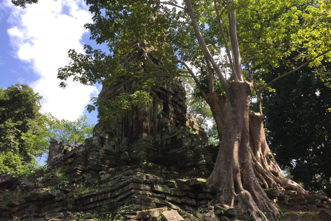 Siem Reap: tour guidato della città di Angkor Thom di 4 ore