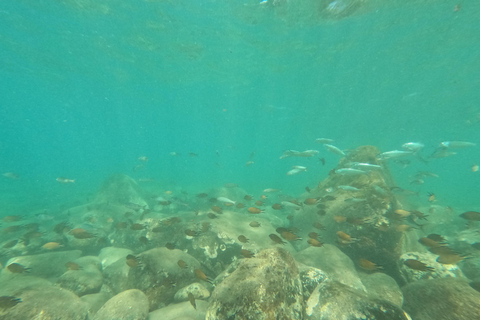 Passeio guiado de caiaque e snorkel (Las Playitas)