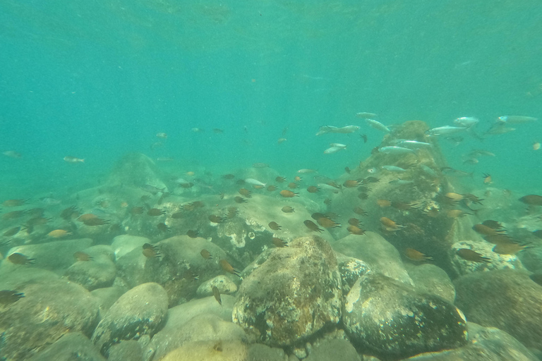 Visite guidée en kayak et plongée en apnée (Las Playitas)