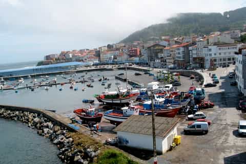 Cruises & boat tours