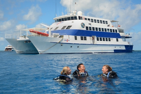 Cairns: 4-daagse PADI Open Water Cursus