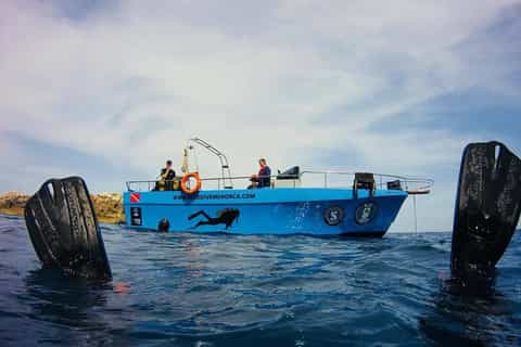 Menorca: Snorkeling Safari Tour