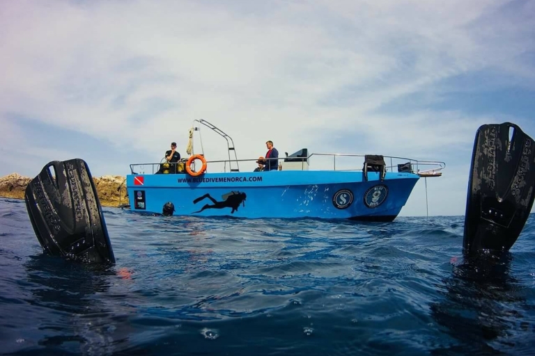 Menorca: Baptism Scuba Diving in Marine Reserve