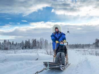 Palmer: Glacier Dogsled & Helicopter Tour Palmer: Glacier Dogsled & Helicopter Tour