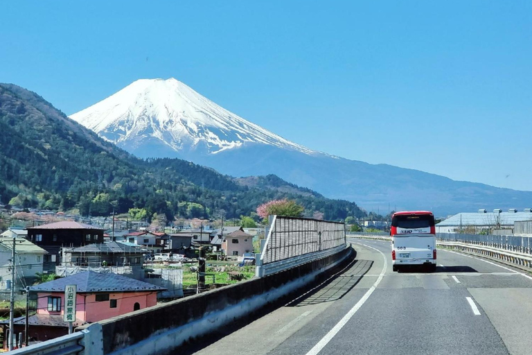 Do/z Tokio:Prywatny luksusowy transfer do/z Nagoi (w 1 stronę)