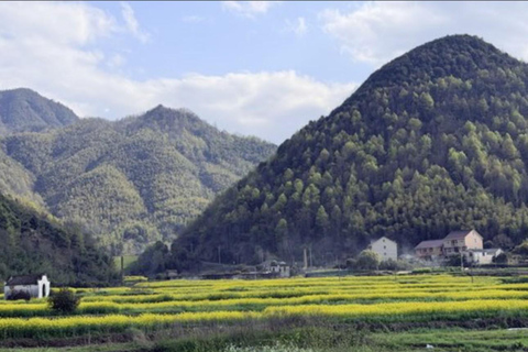 Shanghai: Tonglu Ancient Villages & Fruit-Picking Day Trip
