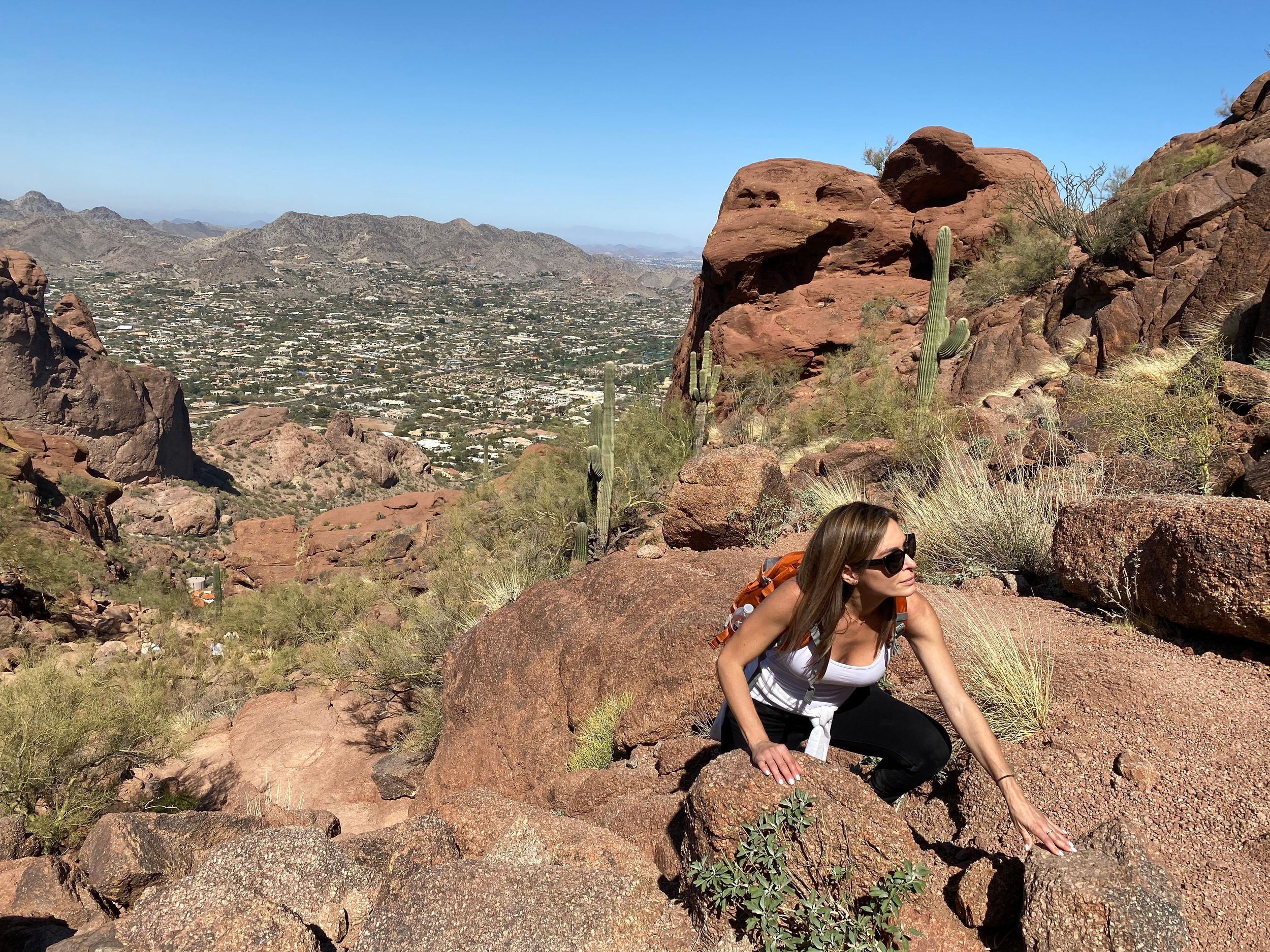 Phoenix: Erstaunliche zweistündige geführte Wanderung in der Sonoran-Wüste