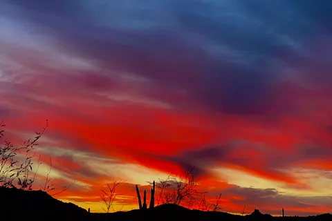 Phoenix: Geführte Sonnenuntergangswanderung in der Sonoran-Wüste