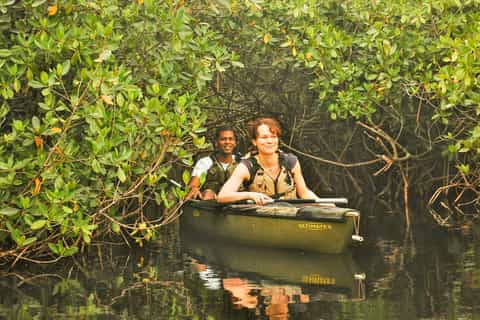 Parque Nacional Everglades: Sea Kayaking Tour