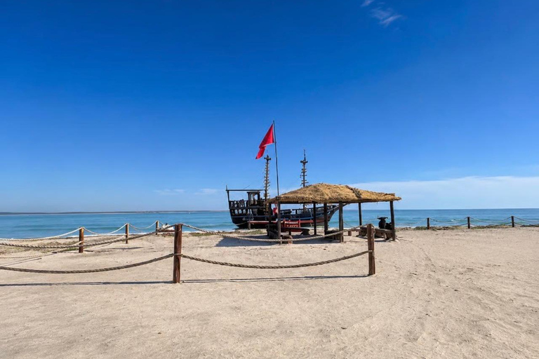 Hessi Jerbi Zarzis Day Trip: The Unmissable Getaway from Djerba