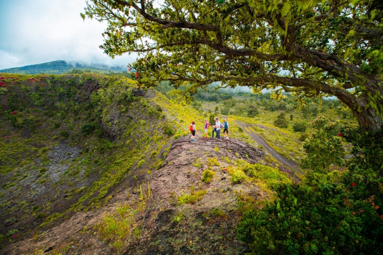 Big Island: randonnée hors des sentiers battus du cratère du volcan