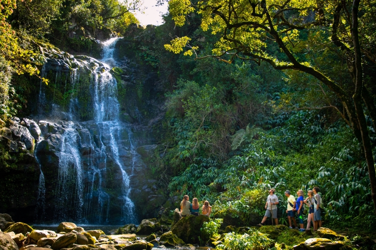 Big Island: Ganztägiges Kohala Zipline- und Wasserfall-Abenteuer