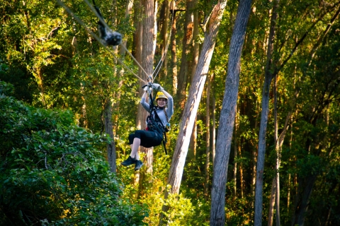 Big Island: 3 horas de Kohala Canopy Zipline AdventureOpcion estandar