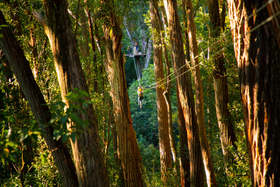 Big Island: avventura in zipline a baldacchino Kohala di 3 ore