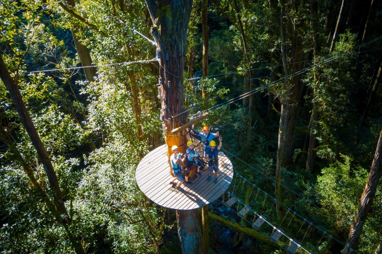 Big Island: 3-stündiges Kohala Canopy Zipline-AbenteuerStandardoption