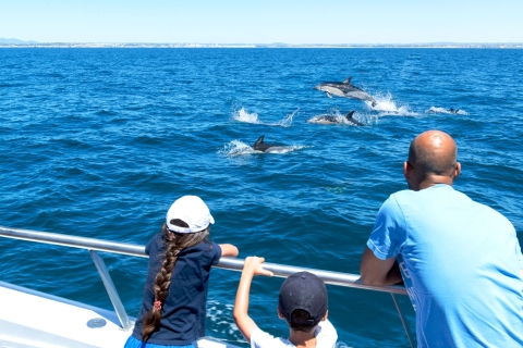 Ab Albufeira: Bootsfahrt mit Delfinen und HöhlenAb Albufeira: Delfine & Höhlen-Bootsfahrt – erstattungsfähig