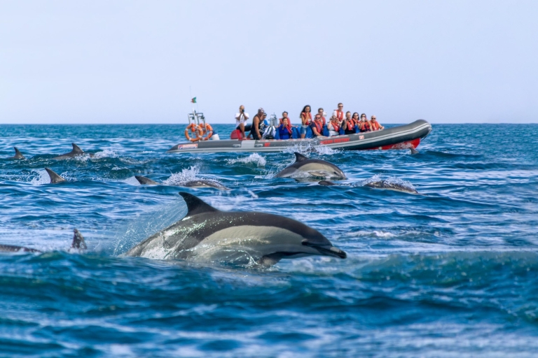 Albufeira: Dolphins, Benagil Caves and Coastline Boat Tour Albufeira: Dolphins & Benagil Caves Tour - Non-Refundable