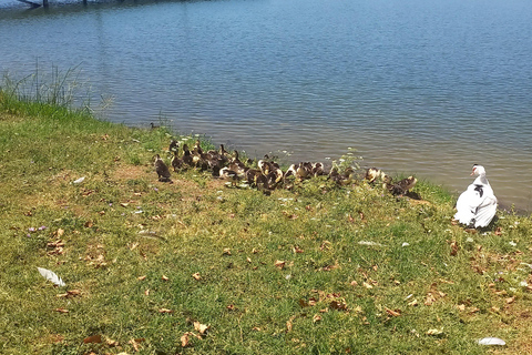 From Tirana: Full-Day Berat Cultural & Historic Exploration