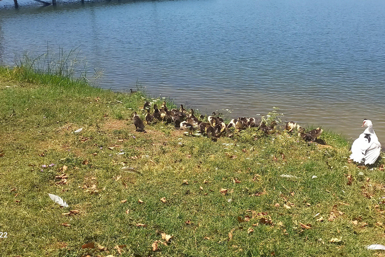 From Tirana: Full-Day Berat Cultural & Historic Exploration