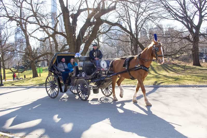 NYC Central Park HorseDrawn Carriage Ride with Photos GetYourGuide