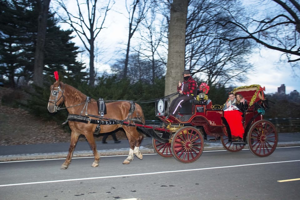 NYC Horse Carriage Ride in Central Park (65 min) GetYourGuide
