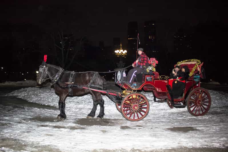 NYC Central Park HorseDrawn Carriage Ride with Photos GetYourGuide