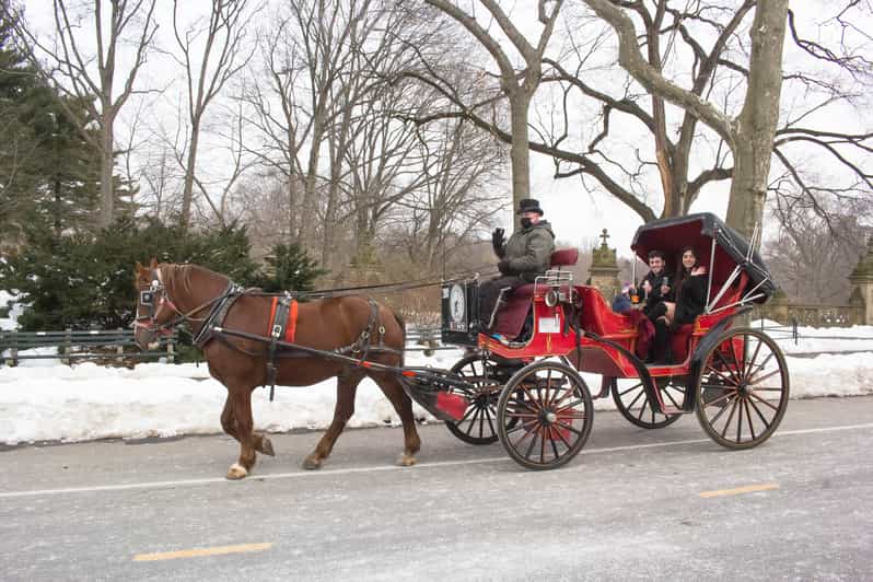 NYC Horse Carriage Ride in Central Park (65 min) GetYourGuide