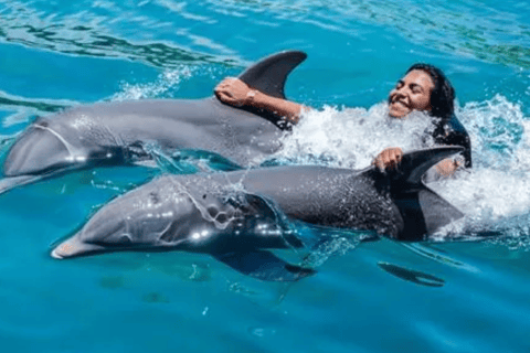 Private Puerto Plata Dolphin Encounter & Ocean World Escape