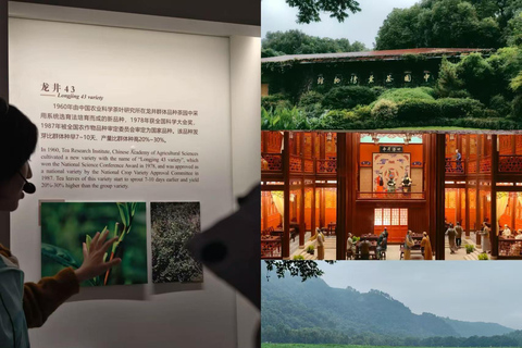 Hangzhou: Tea Culture Masterclass with Hands-on Workshop