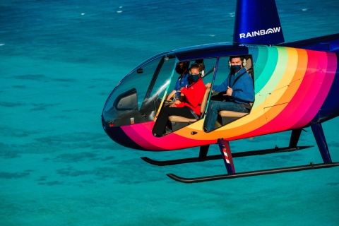 Desde Honolulu: tour en helicóptero por Oahu con puertas abiertas o cerradasTour Compartido Doors Off