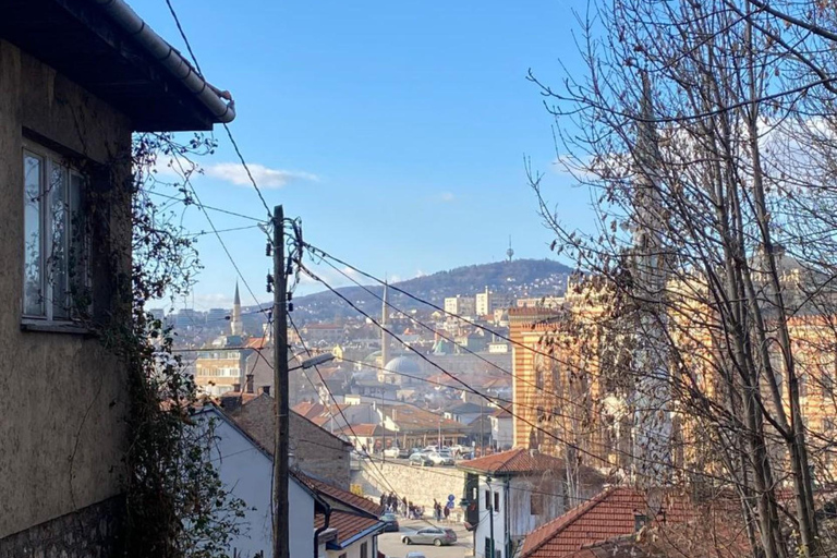 Sarajevo Urban Mountain Hike: Old Town to Trebevic Summit