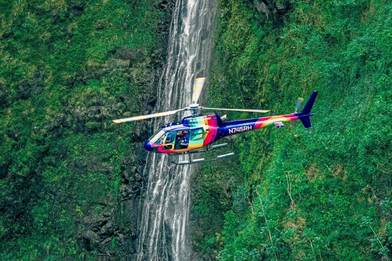 Desde Honolulu: tour en helicóptero por Oahu con puertas abiertas o cerradasPuertas en Tour Privado