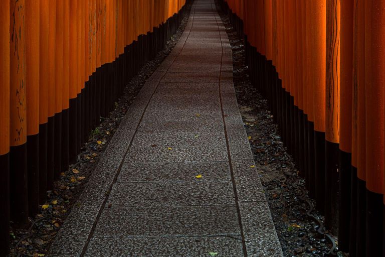 Kyoto & Nara: Private Cultural Journey with Guide & Pickup