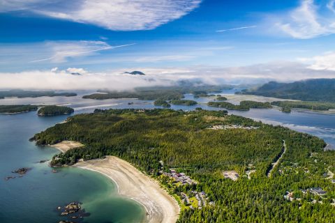 From Vancouver: Tofino Round-Trip Seaplane Experience