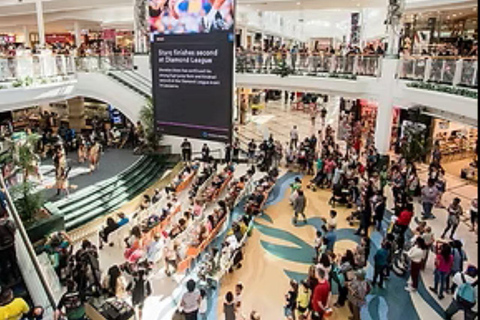 Cairns: Hop-On Hop-Off Bus Tour