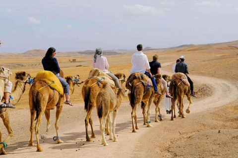 Atlas Paragliding & Agafay Desert Adventure from Marrakech