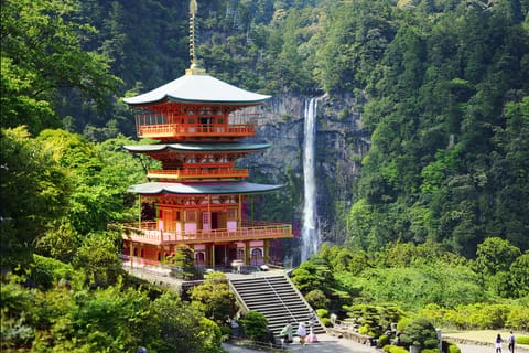 Kumano/Tanabe: Kumano Kodo Pilgrimage Trail Private Tour