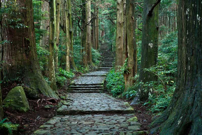 kumano kodo pilgrimage tour