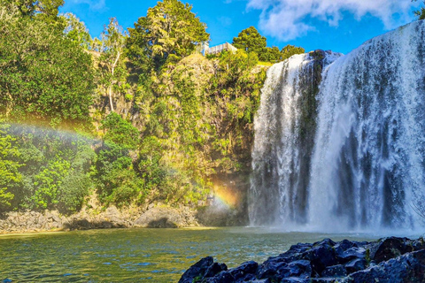 From Auckland: Hole in the rock cruise tour